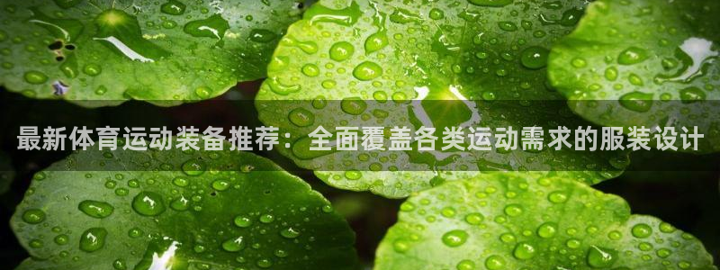尊龙官网下载软件：最新体育运动装备推荐：全面覆盖各类