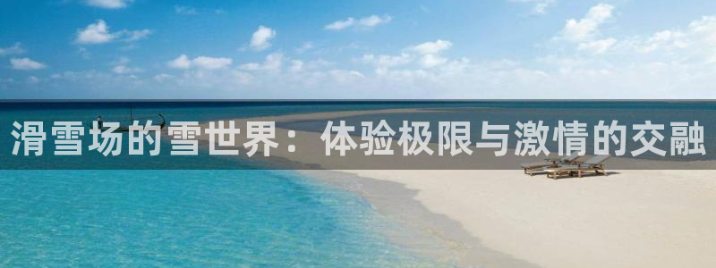 尊龙官方正版app开户：滑雪场的雪世界：体验极限与激