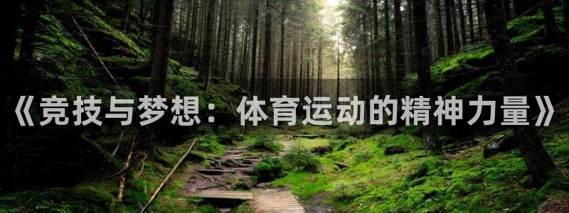 尊龙官网下载娱乐：《竞技与梦想：体育运动的精神力量》