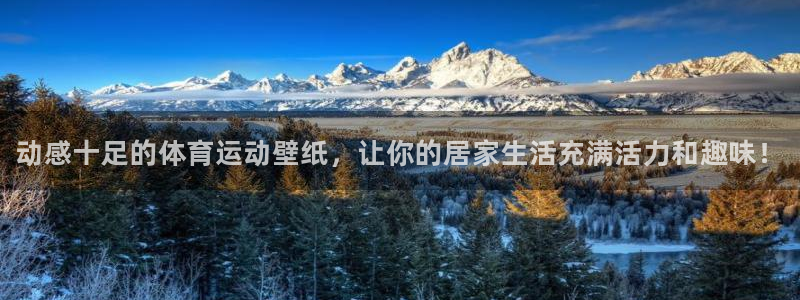 尊龙官方正版app娱乐：动感十足的体育运动壁纸，让你