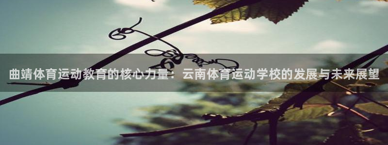 尊龙官方正版app娱乐40996：曲靖体育运动教育的