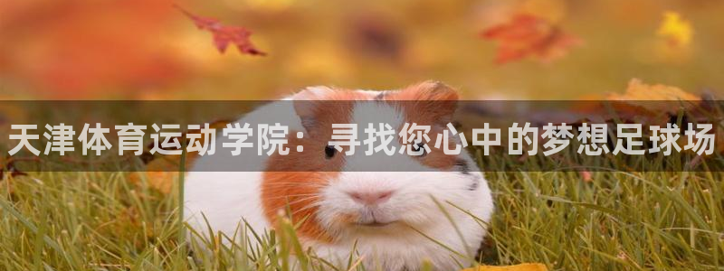 尊龙官网下载招商电话号码查询是多少：天津体育运动学院