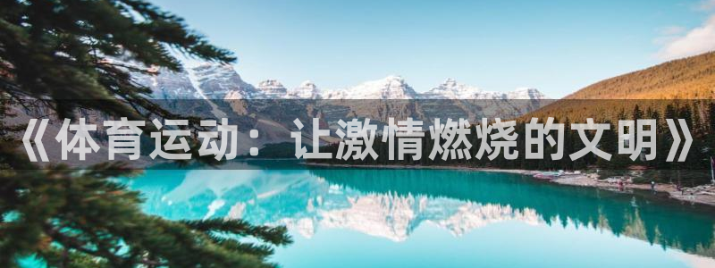尊龙官方正版app集团E.ON：《体育运动：让激情燃
