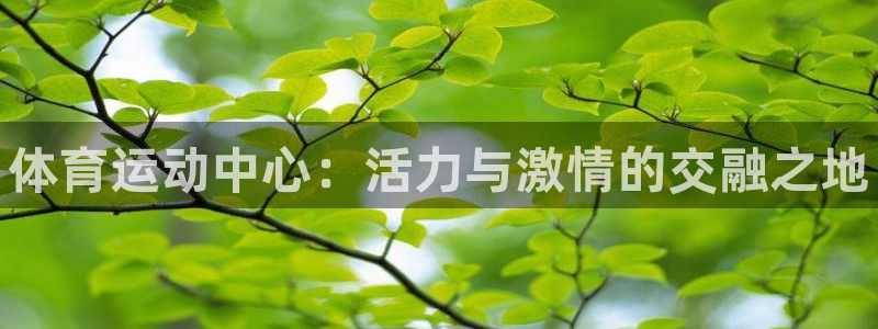 尊龙官网下载平台APP：体育运动中心：活力与激情的交