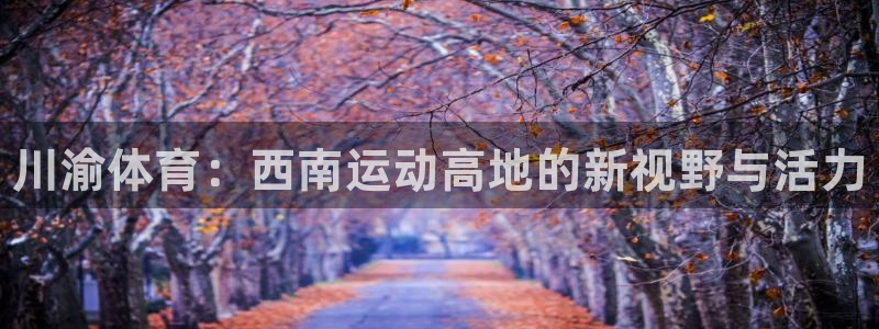 尊龙官网下载平台注册：川渝体育：西南运动高地的新视野