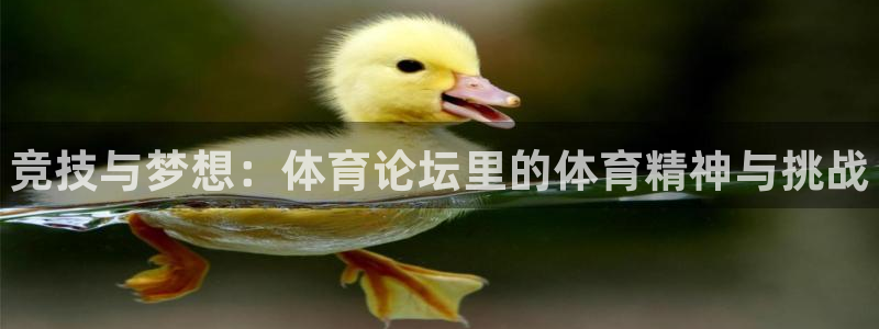 尊龙官网下载招商电话地址查询：竞技与梦想：体育论坛里