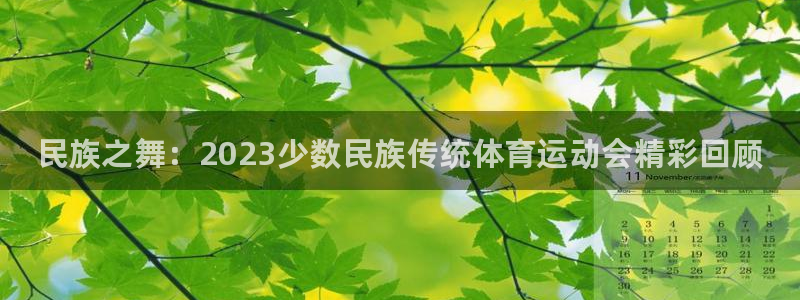 尊龙官网下载平台是正规平台吗：民族之舞：2023少数