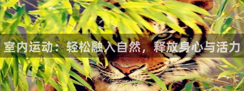 尊龙官方正版app娱乐首页官网下载：室内运动：轻松融
