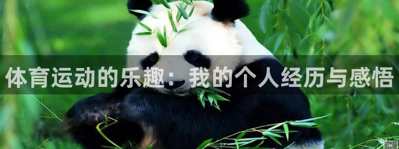 尊龙官网下载平台注册要钱吗：体育运动的乐趣：我的个人