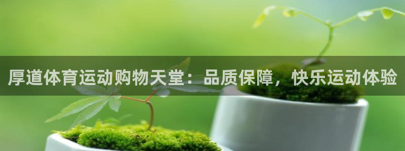 尊龙官网下载娱乐：厚道体育运动购物天堂：品质保障，快