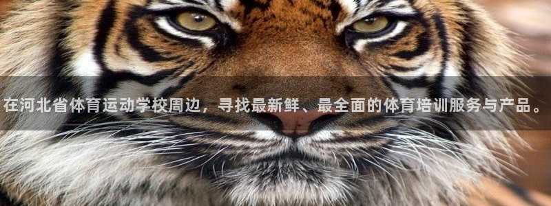 尊龙官方正版app集团简介：在河北省体育运动学校周边