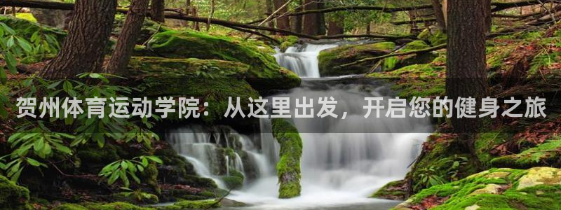 尊龙官网下载平台注册要钱吗是真的吗：贺州体育运动学院