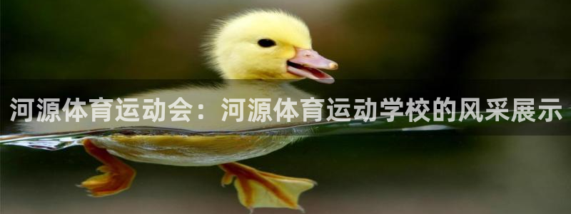 尊龙官方正版app科技：河源体育运动会：河源体育运动
