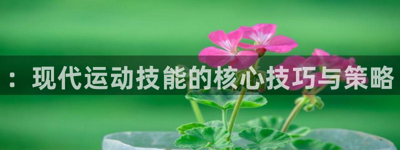 尊龙官网下载招商电话号码是多少：：现代运动技能的核心