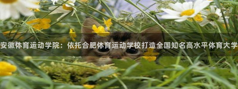 尊龙官网下载平台注册流程图：安徽体育运动学院：依托合肥体育运