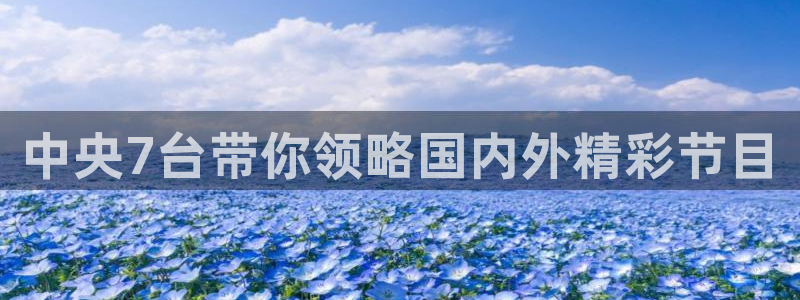 绿茵体育足球免费直播
