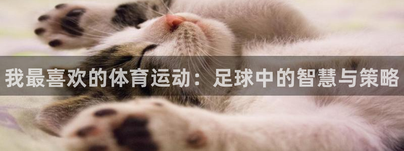 尊龙官方正版app娱乐平台