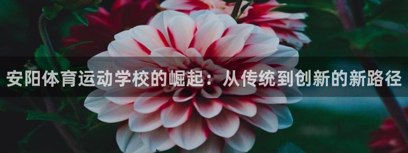 尊龙官网下载招商电话地址是多少