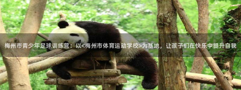 尊龙官网下载招商电话号码查询是多少