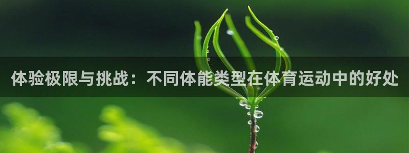 尊龙官方正版app官网