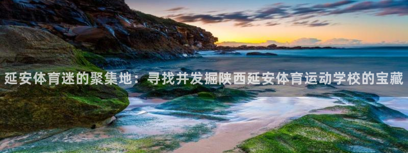 尊龙官网下载招商电话号码是多少