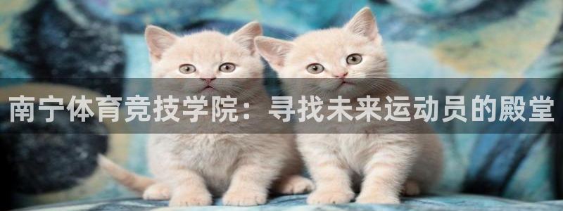 尊龙官方正版app娱乐是那个系列的台子