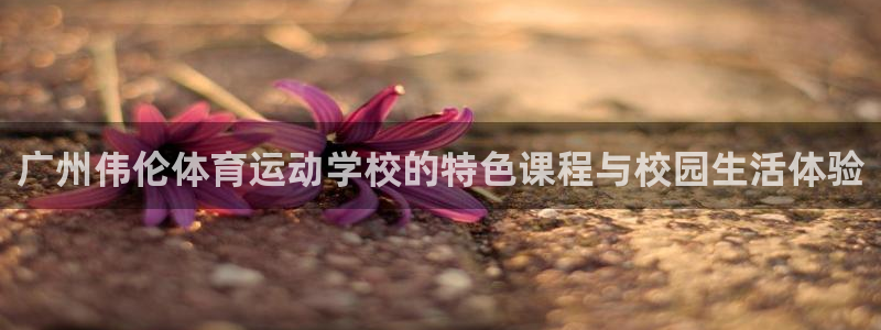 尊龙官方正版app娱乐是那个系列的台子