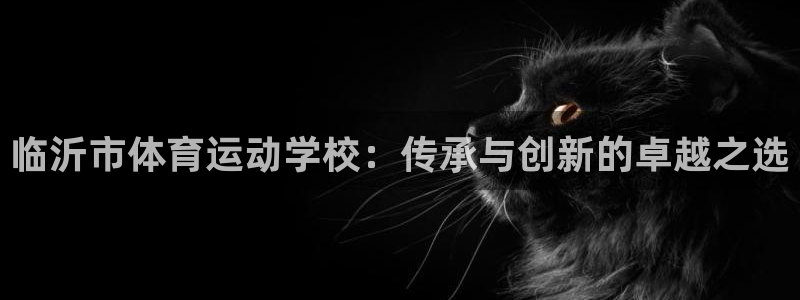尊龙官方正版app集团官网首页网址：临沂市体育运动学校：传承