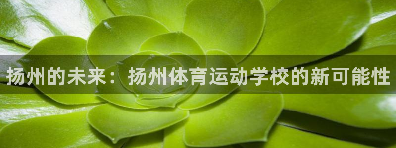 尊龙官网下载招商电话号码是多少号：扬州的未来：扬州体育运动学