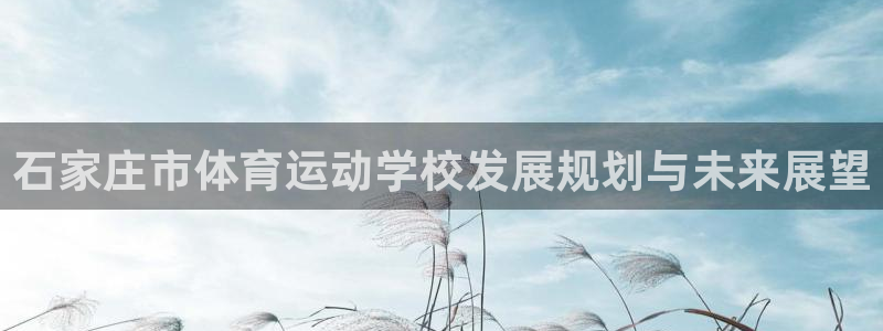 尊龙官方正版app开户：石家庄市体育运动学校发展规划与未来展