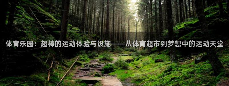 尊龙官方正版app官网：体育乐园：超棒的运动体验与设施——从