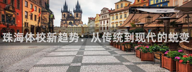 海南尊龙官网下载