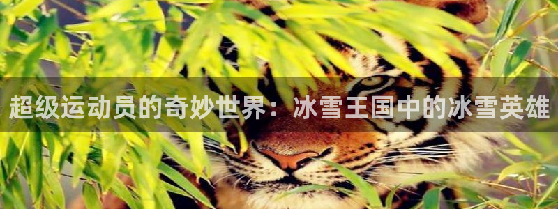 尊龙官网下载招商电话号码是多少：超级运动员的奇妙世界：冰雪王