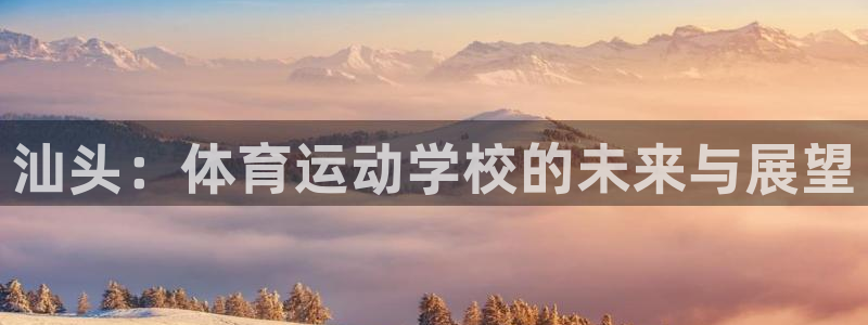 尊龙官方正版app五金厂：汕头：体育运动学校的未来与展望