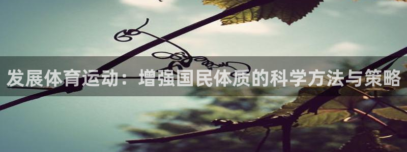 尊龙官方正版app官网