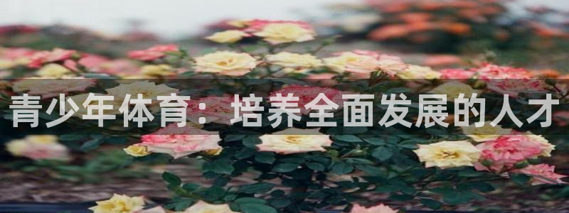 尊龙官网下载平台：青少年体育：培养全面发展的人才